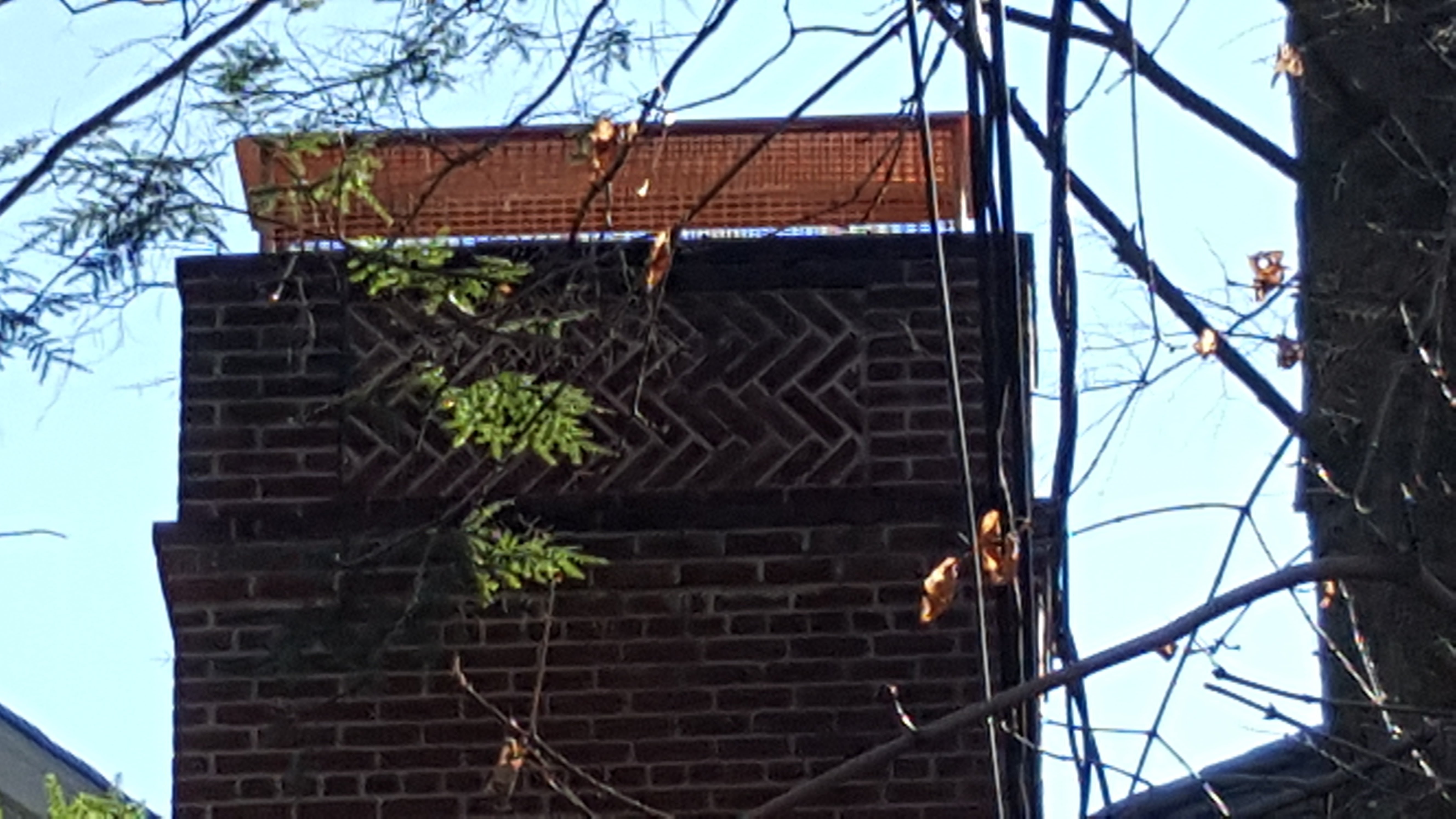 Animal-proof chimney cap protecting home in Levittown, New York